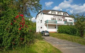 Penzion Hady